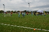 Diákolimpia 2019/foci_o