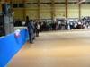 Gólyabál 2016